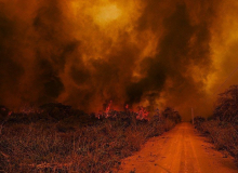 Senado instala nesta quarta comissão para acompanhar incêndios no Pantanal