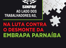 Embrapa: Desmonte em Parnaíba-PI resulta em transferência de empregados