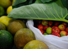 Você sabe como armazenar e higienizar os alimentos em todas as etapas do preparo?